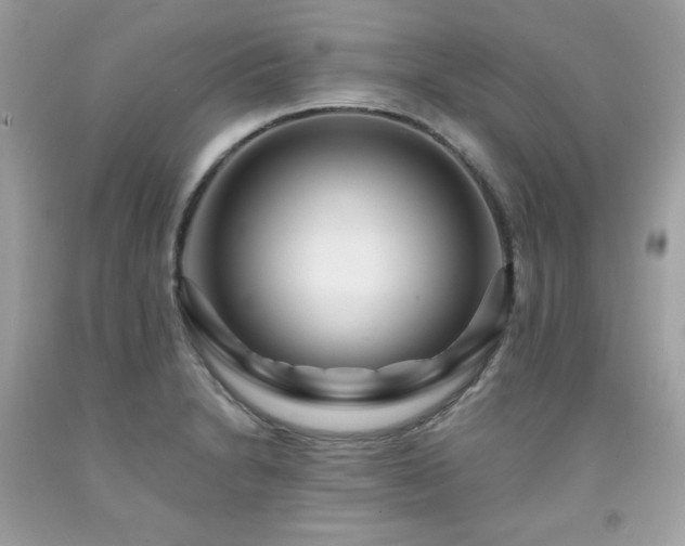 X0000091931230200709121552