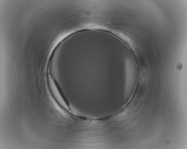 X0000091931231200709121552
