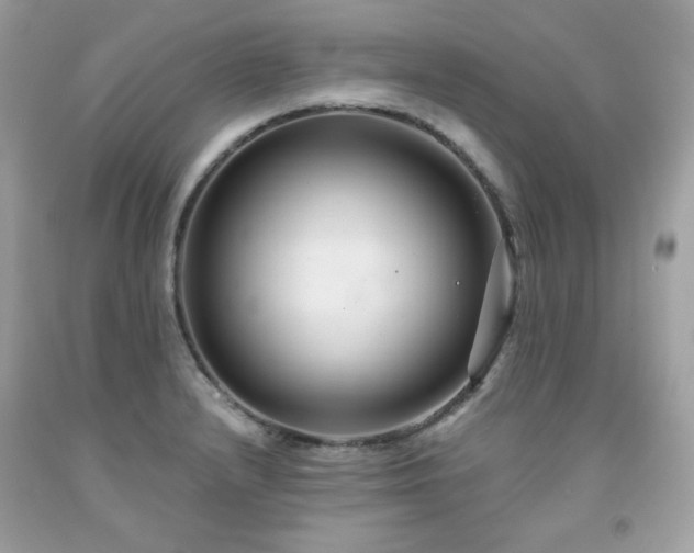 X0000091931232200709121552