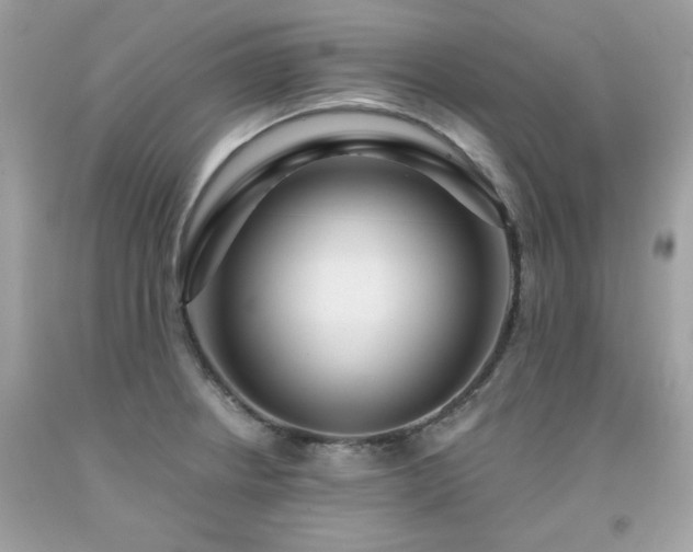 X0000091931234200709121552