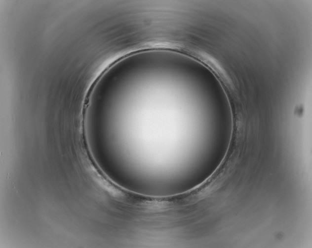 X0000091931236200709121552