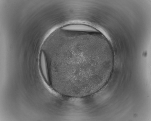 X0000091931237200709121552