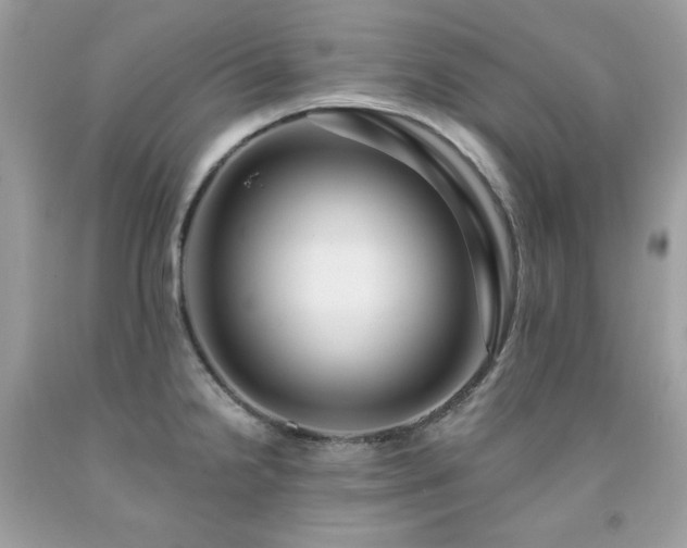 X0000091931238200709121552