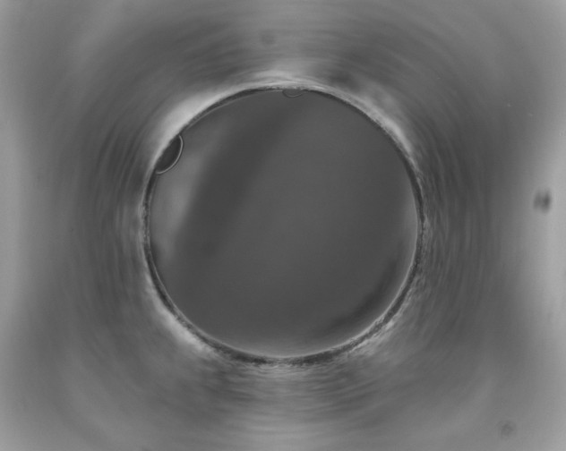 X0000091931239200709121552