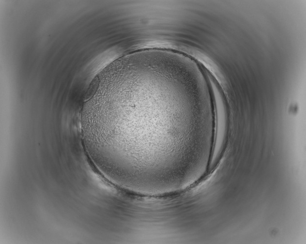 X0000091931241200709121552