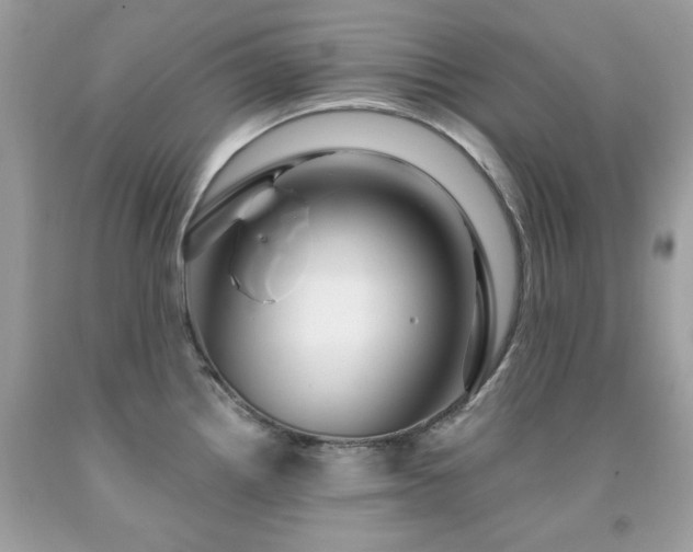 X0000091931242200709121552