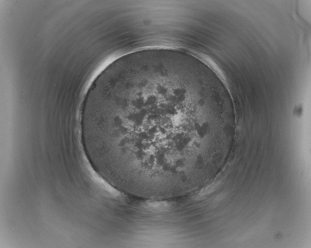 X0000091931243200709121552