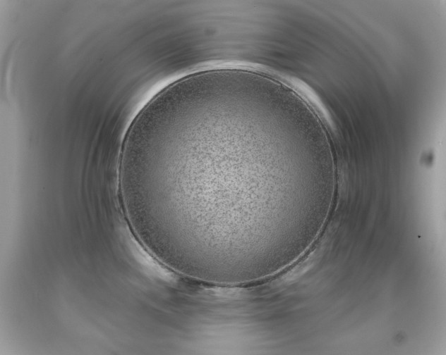 X0000091931244200709121552