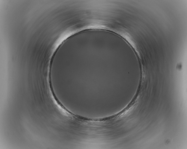 X0000091931245200709121552
