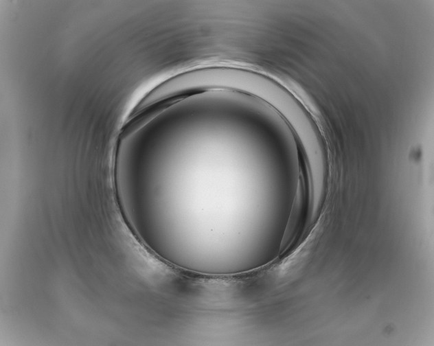 X0000091931246200709121552