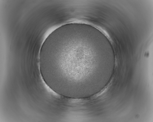 X0000091931247200709121552