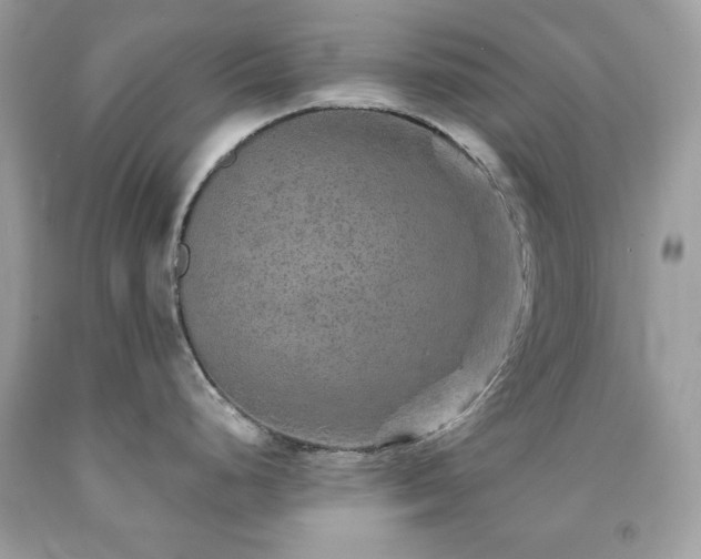 X0000091931248200709121552