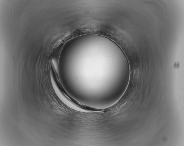 X0000091931250200709121552