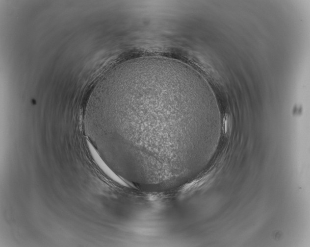 X0000091931251200709121552