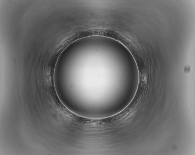 X0000091931252200709121552