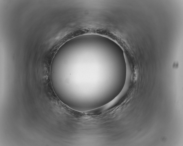 X0000091931253200709121552