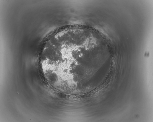 X0000091931254200709121552