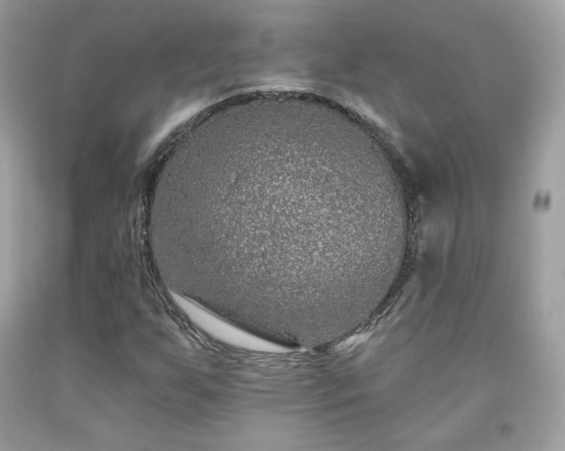 X0000091931255200709121552