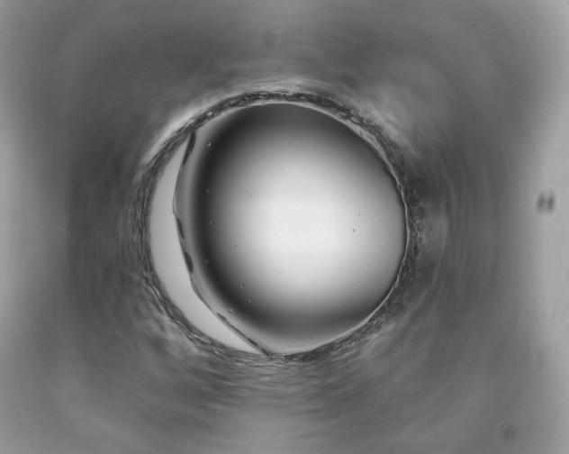 X0000091931256200709121552