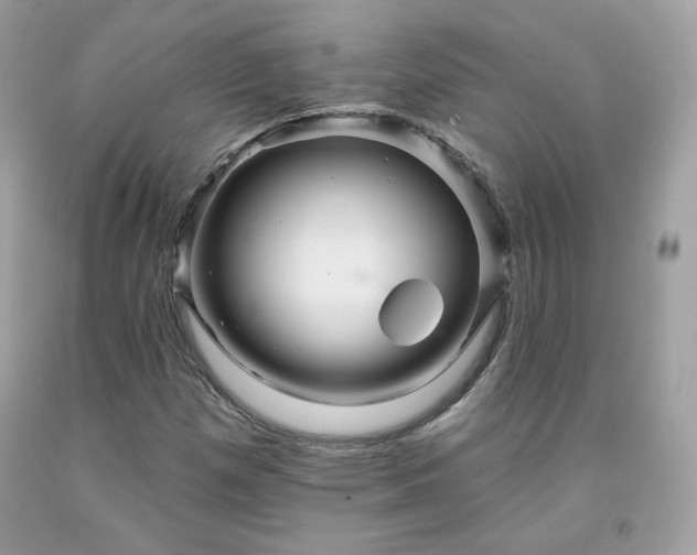 X0000091931257200709121552
