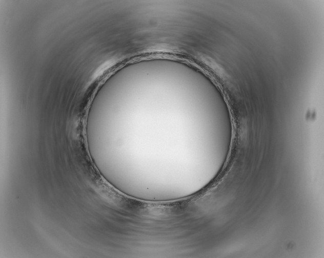 X0000091931258200709121552