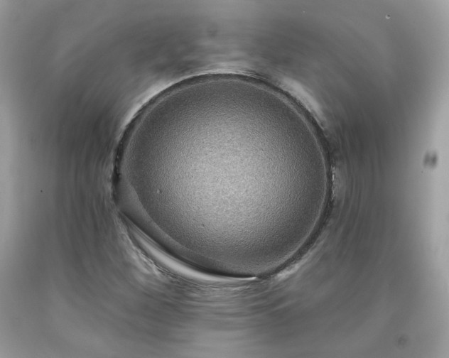 X0000091931260200709121552