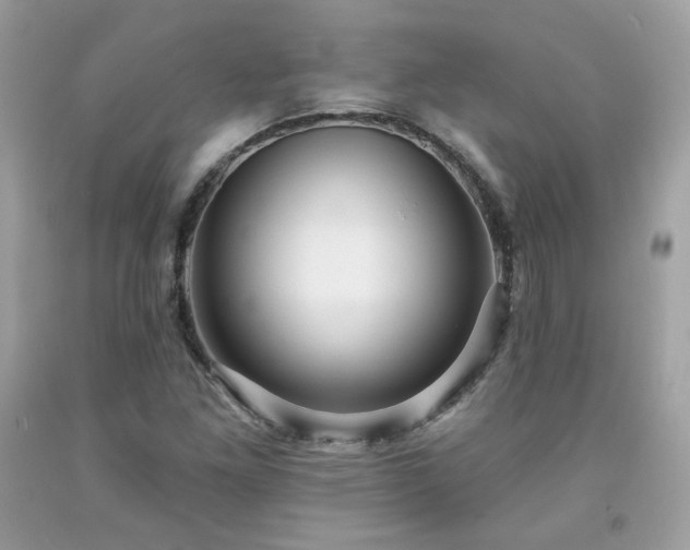 X0000091931261200709121552