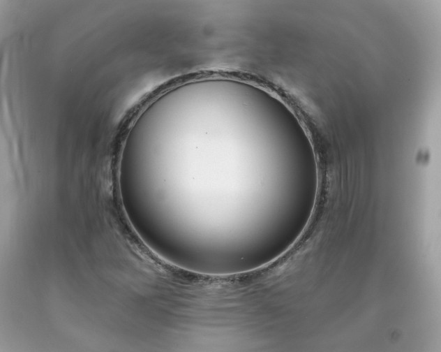 X0000091931262200709121552