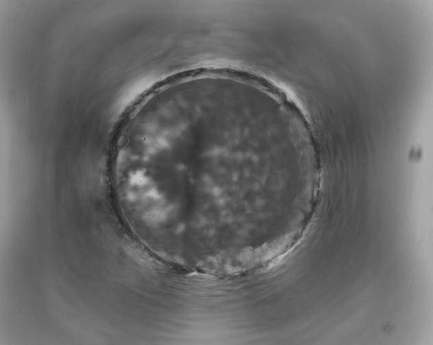 X0000091931263200709121552
