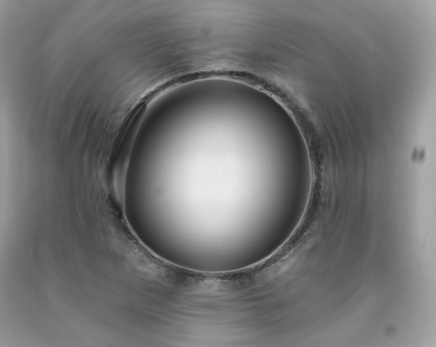 X0000091931265200709121552