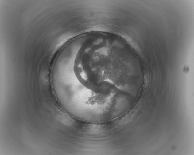X0000091931266200709121552