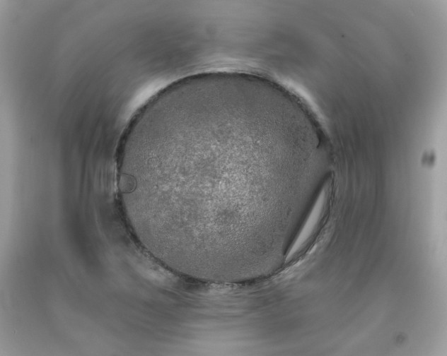 X0000091931267200709121552