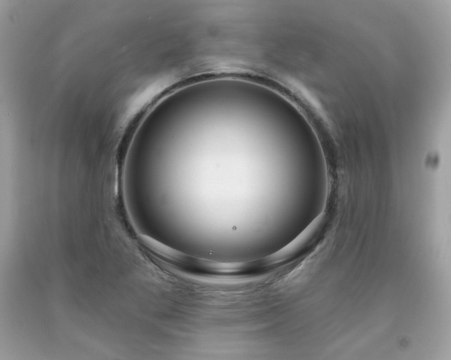 X0000091931269200709121552