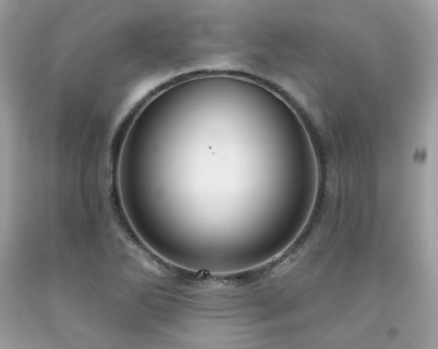 X0000091931270200709121551