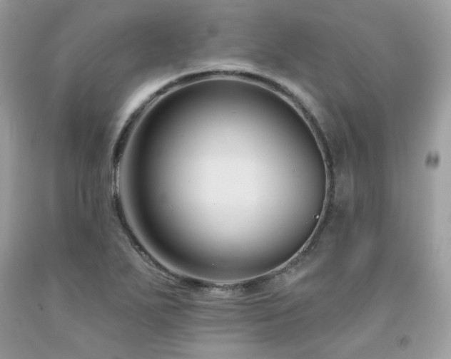 X0000091931271200709121551