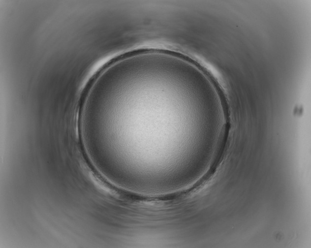 X0000091931272200709121551