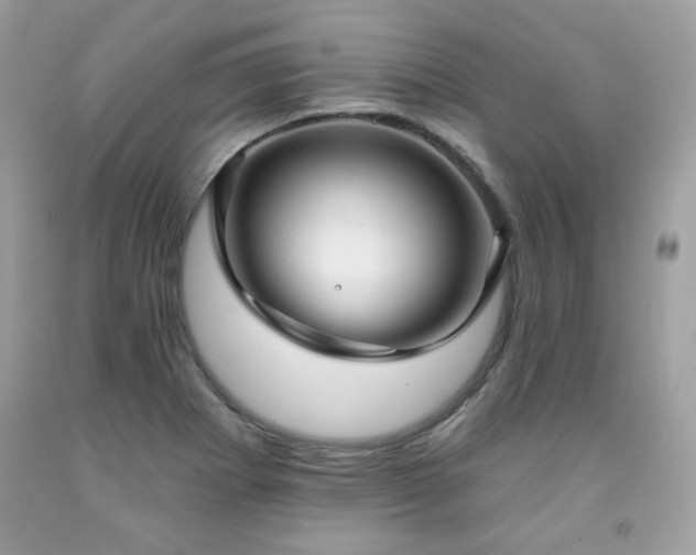X0000091931273200709121551