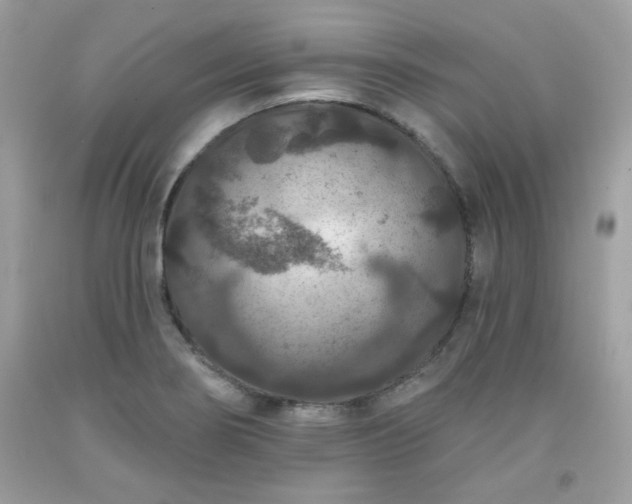 X0000091931274200709121551