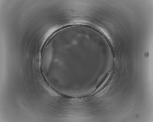 X0000091931275200709121551