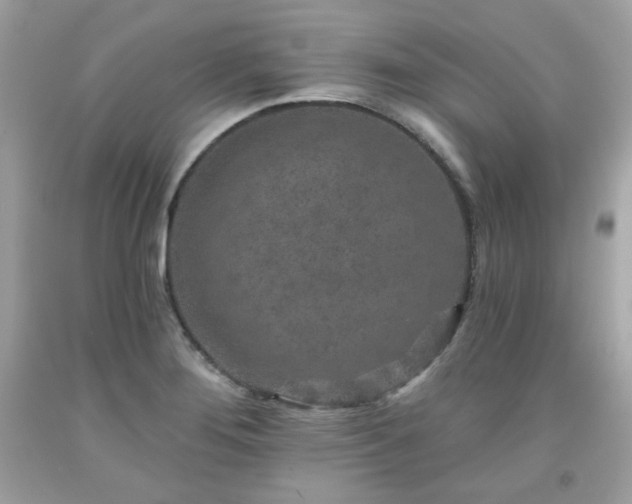 X0000091931276200709121551