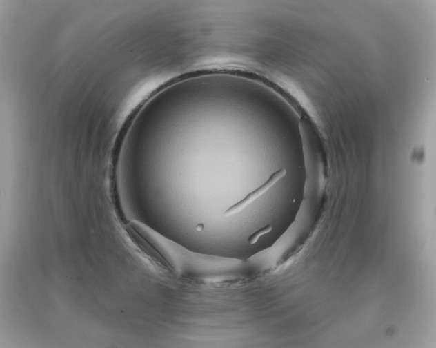 X0000091931277200709121551