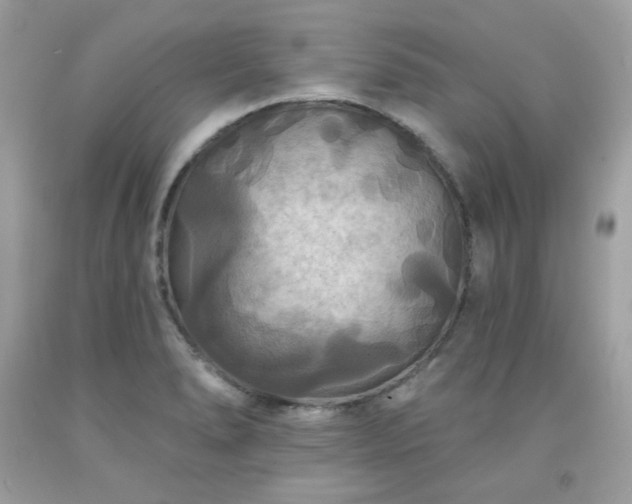 X0000091931278200709121551