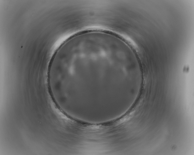 X0000091931279200709121551
