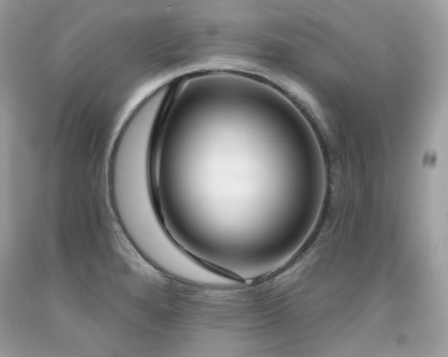 X0000091931280200709121551