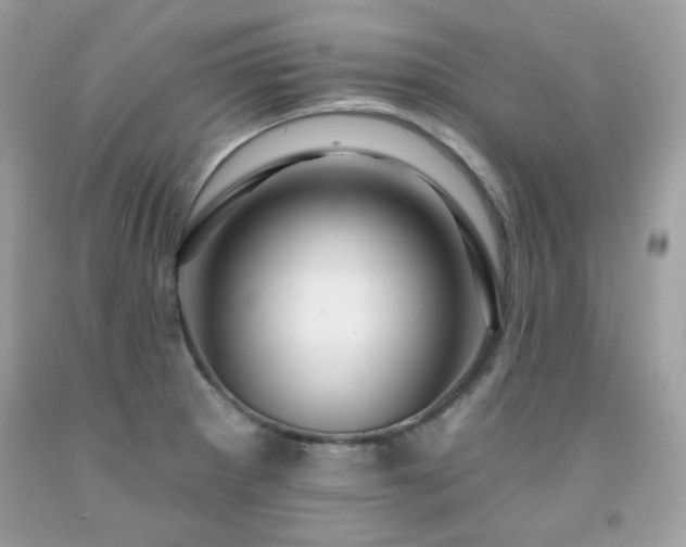 X0000091931281200709121551