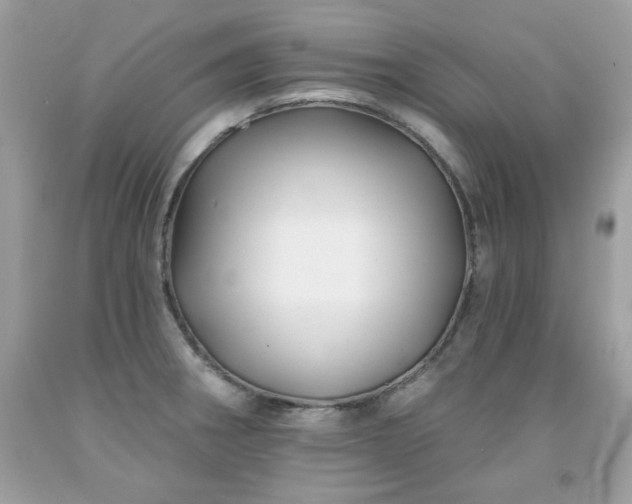 X0000091931282200709121551