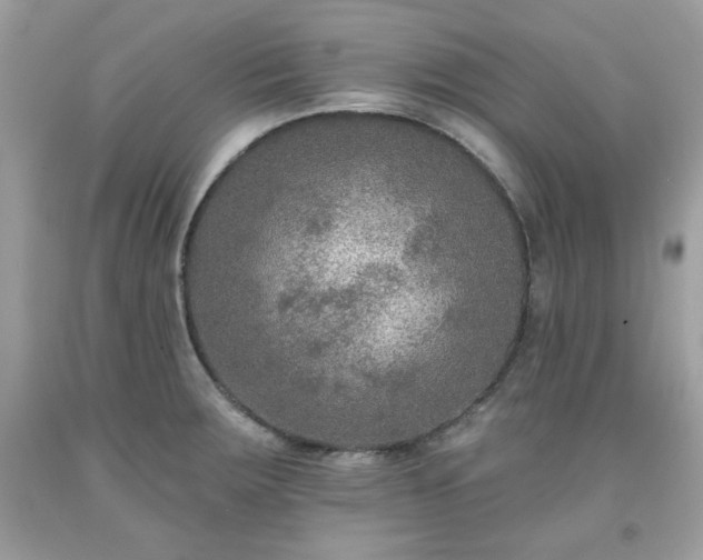 X0000091931283200709121551