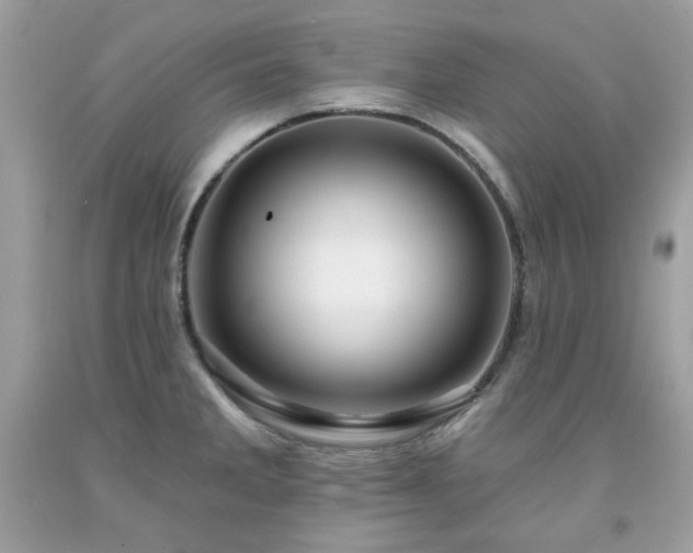 X0000091931285200709121551
