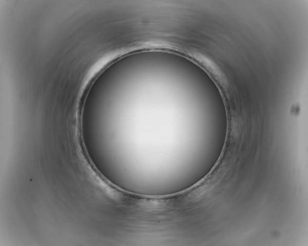 X0000091931286200709121551