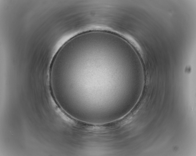 X0000091931287200709121551
